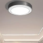 The Best Matter-Compatible Ceiling Lights thumbnail