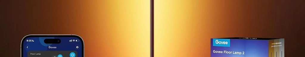 Govee floor lamp 2 with matter