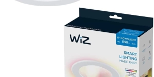 WiZ Downlight