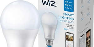 WiZ A19 60W Daylight LED Smart Bulb