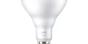 WiZ BR30 E26 55W Tunable White Smart Bulb