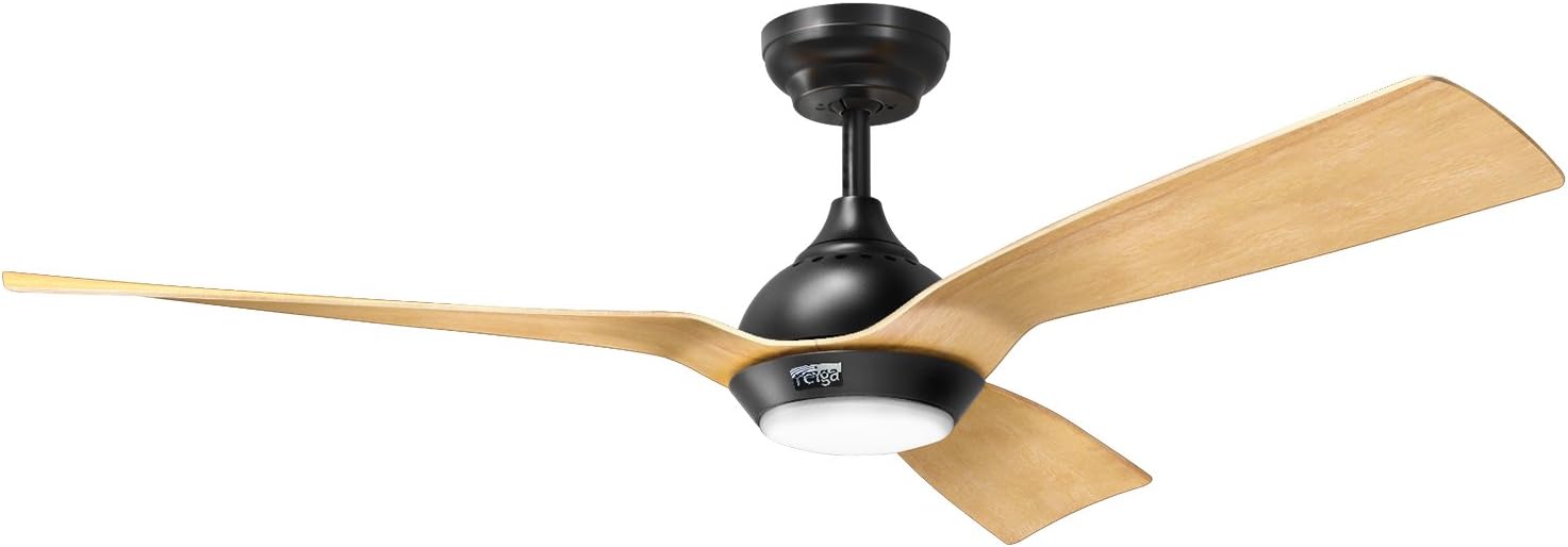 Reiga ceiling fan