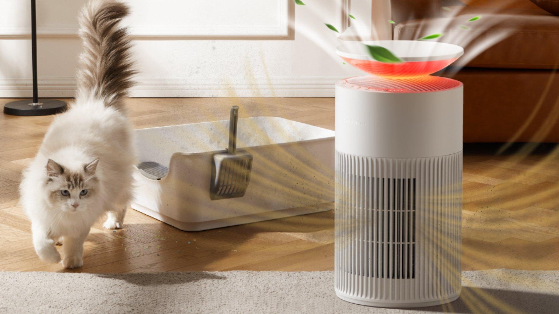 Switchbot air purifier lifestyle